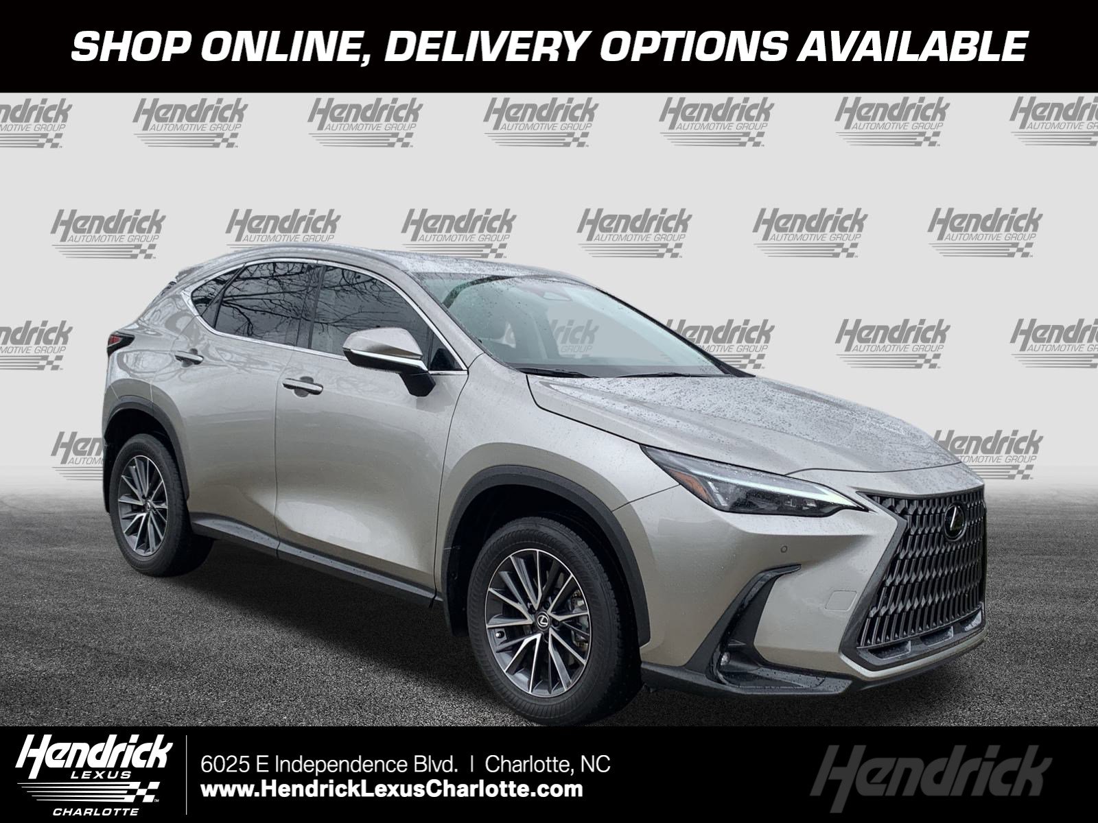 2024 Lexus NX Hybrid 350h's photo