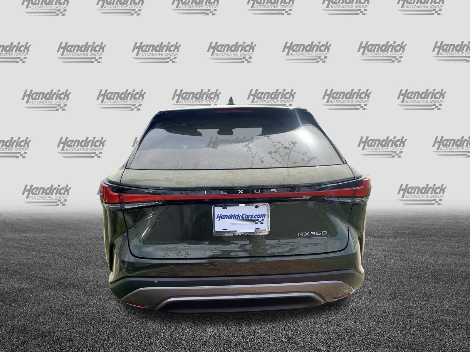 2025 LEXUS RX 350 photo 6