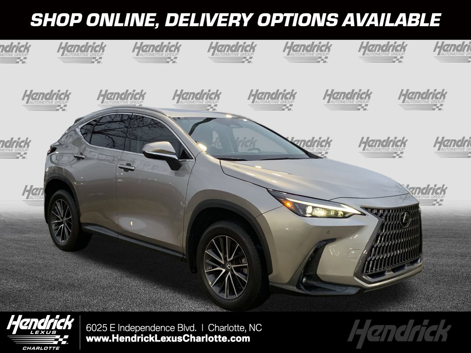 2024 Lexus NX 250's photo
