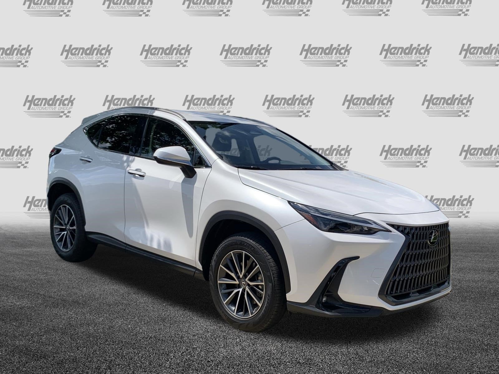 Used 2024 LEXUS NX 250 For Sale in Charlotte, NC VIN