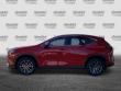 2025 LEXUS NX 350h 350h Luxury SUV