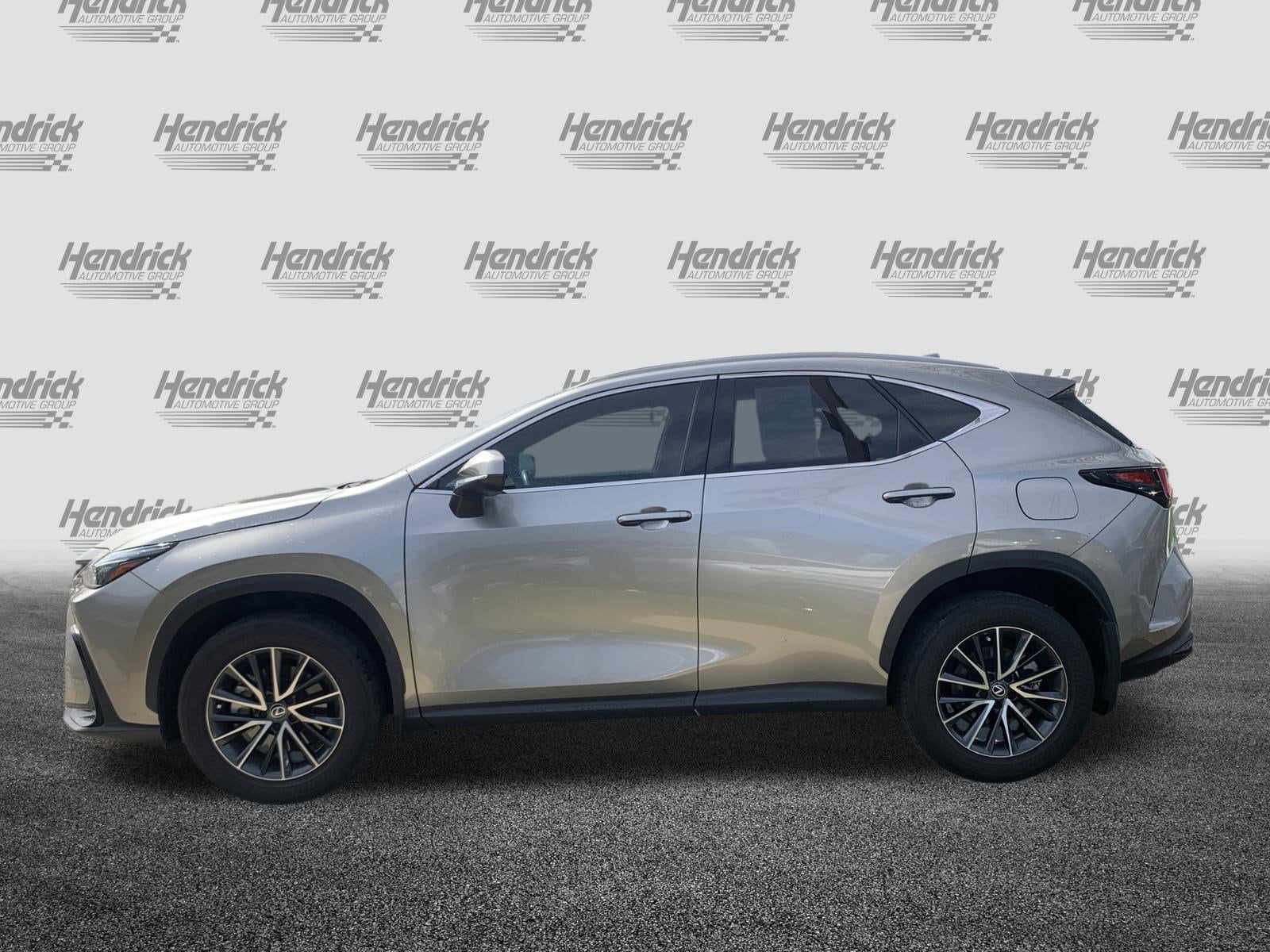 2024 LEXUS NX 250 Premium photo 4