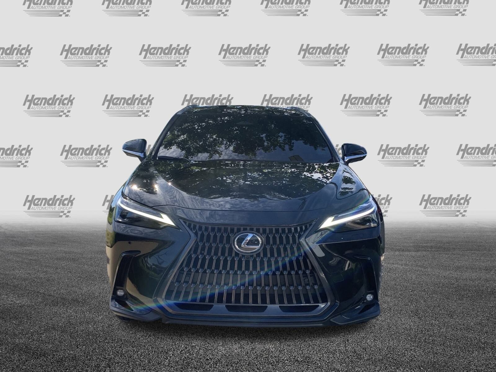 2025 Lexus NX Luxury photo 2