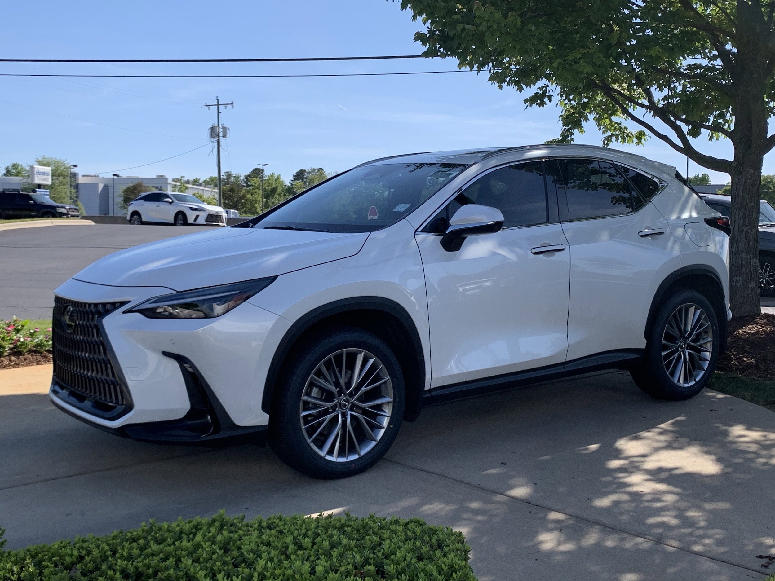 2025 LEXUS NX 350 Premium photo 4