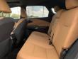 2025 LEXUS RX 350 Premium SUV