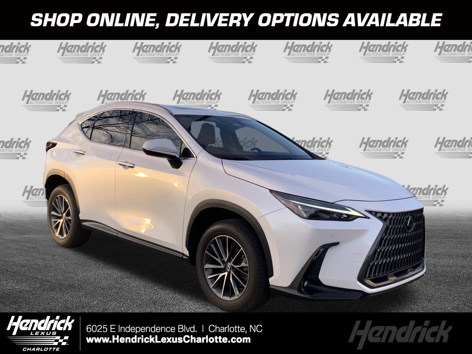 2024 Lexus NX 250's photo