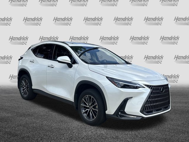 Used 2023 Lexus NX 250 with VIN JTJGDCAZ6P5010253 for sale in Charleston, SC