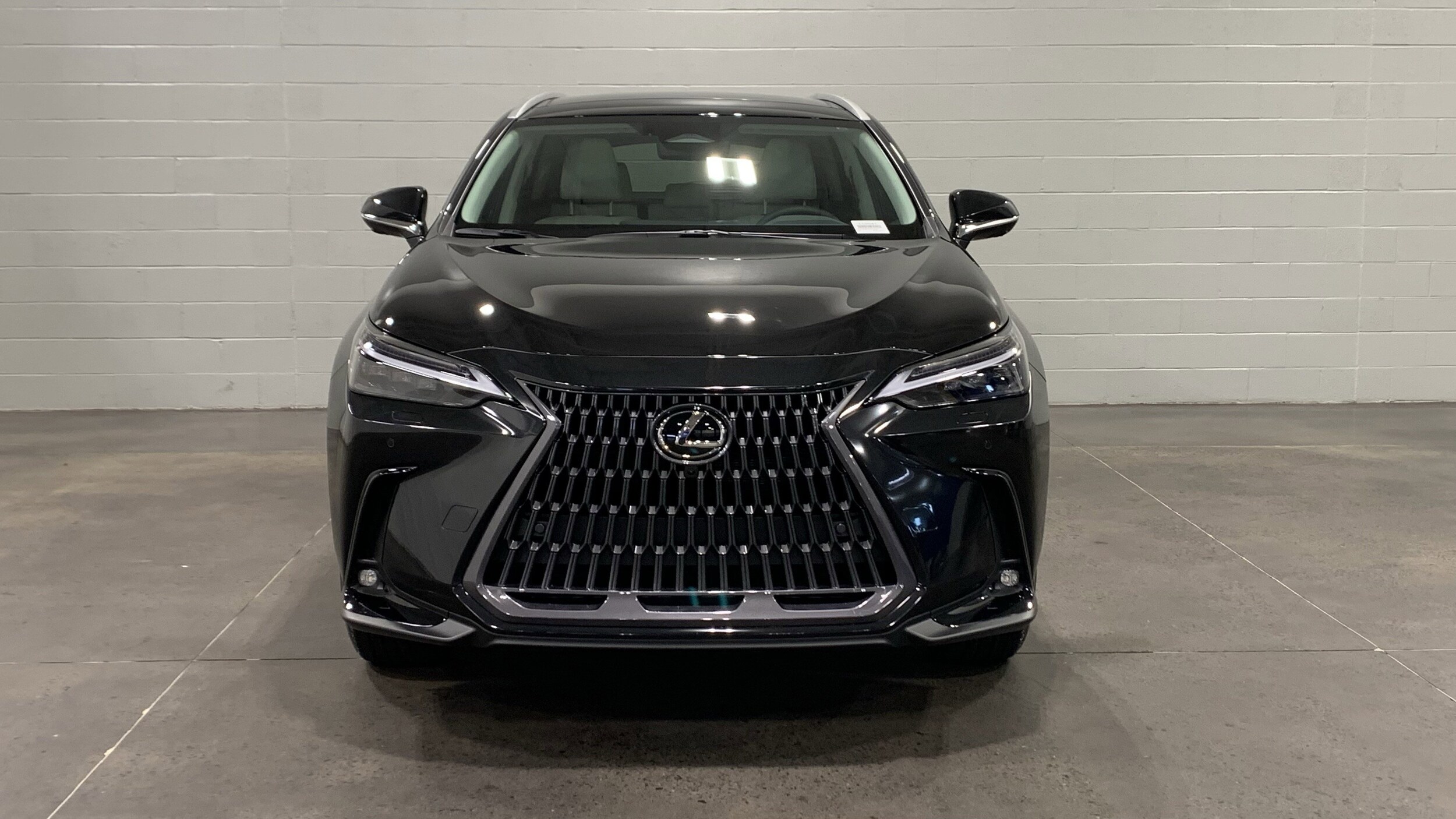 2026 Lexus NX 350h Luxury photo 2