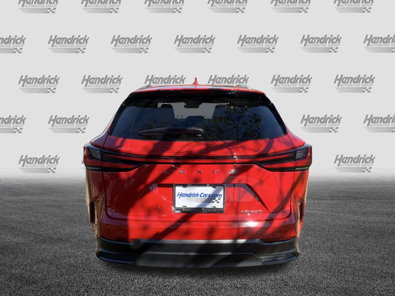 2025 LEXUS NX 250 Premium photo 6