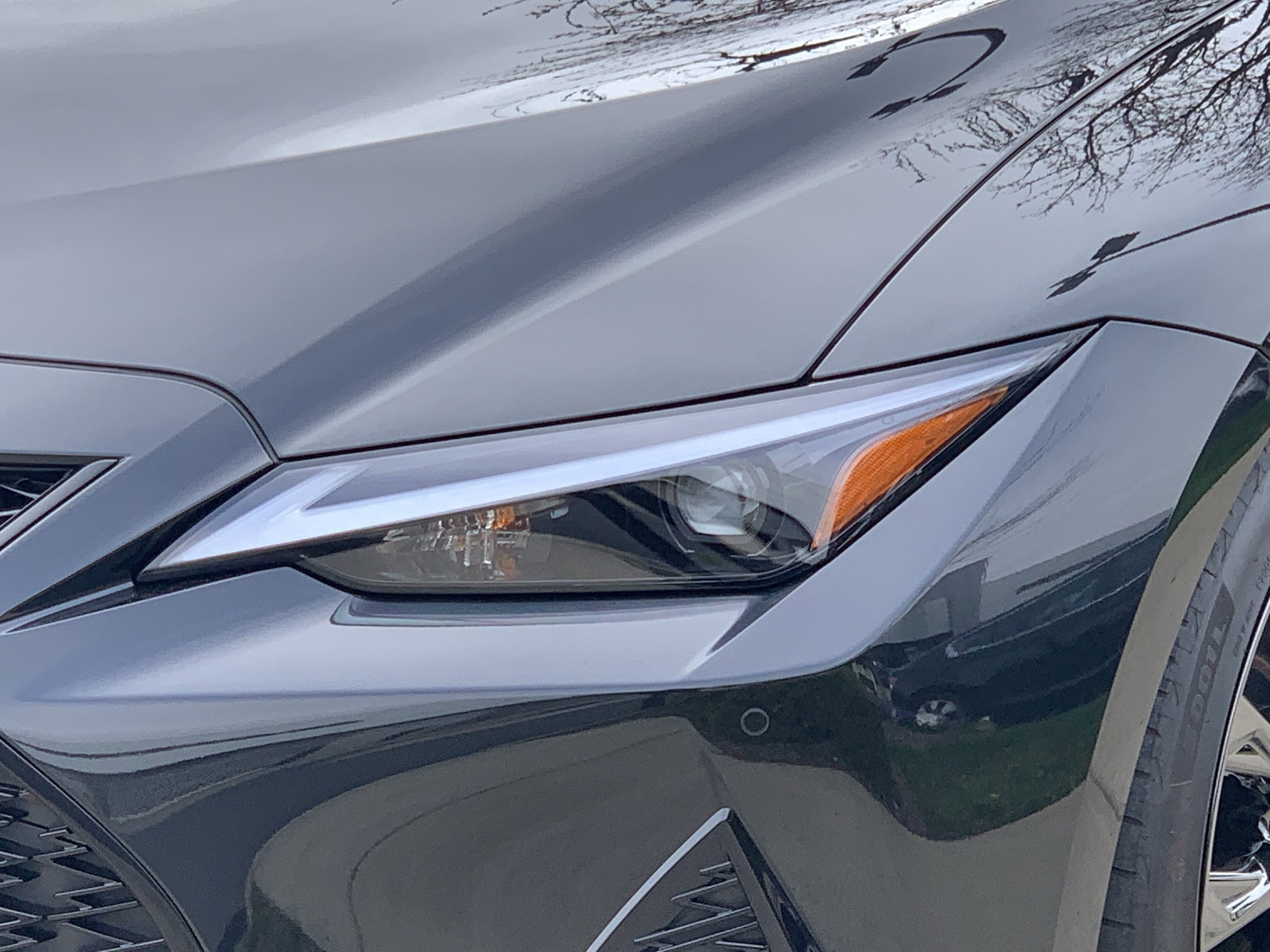 2025 LEXUS IS 350 F SPORT photo 4