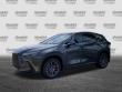 2025 LEXUS NX 250 Premium SUV