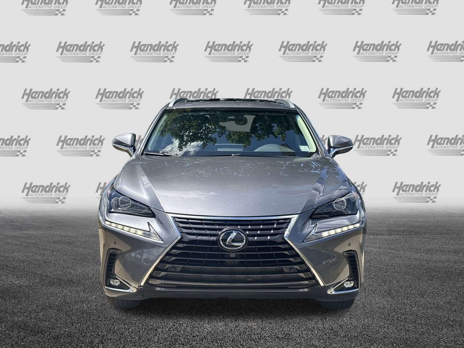 2019 Lexus NX 300 Luxury photo 3