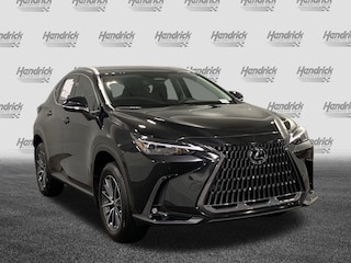 2025 LEXUS NX 250