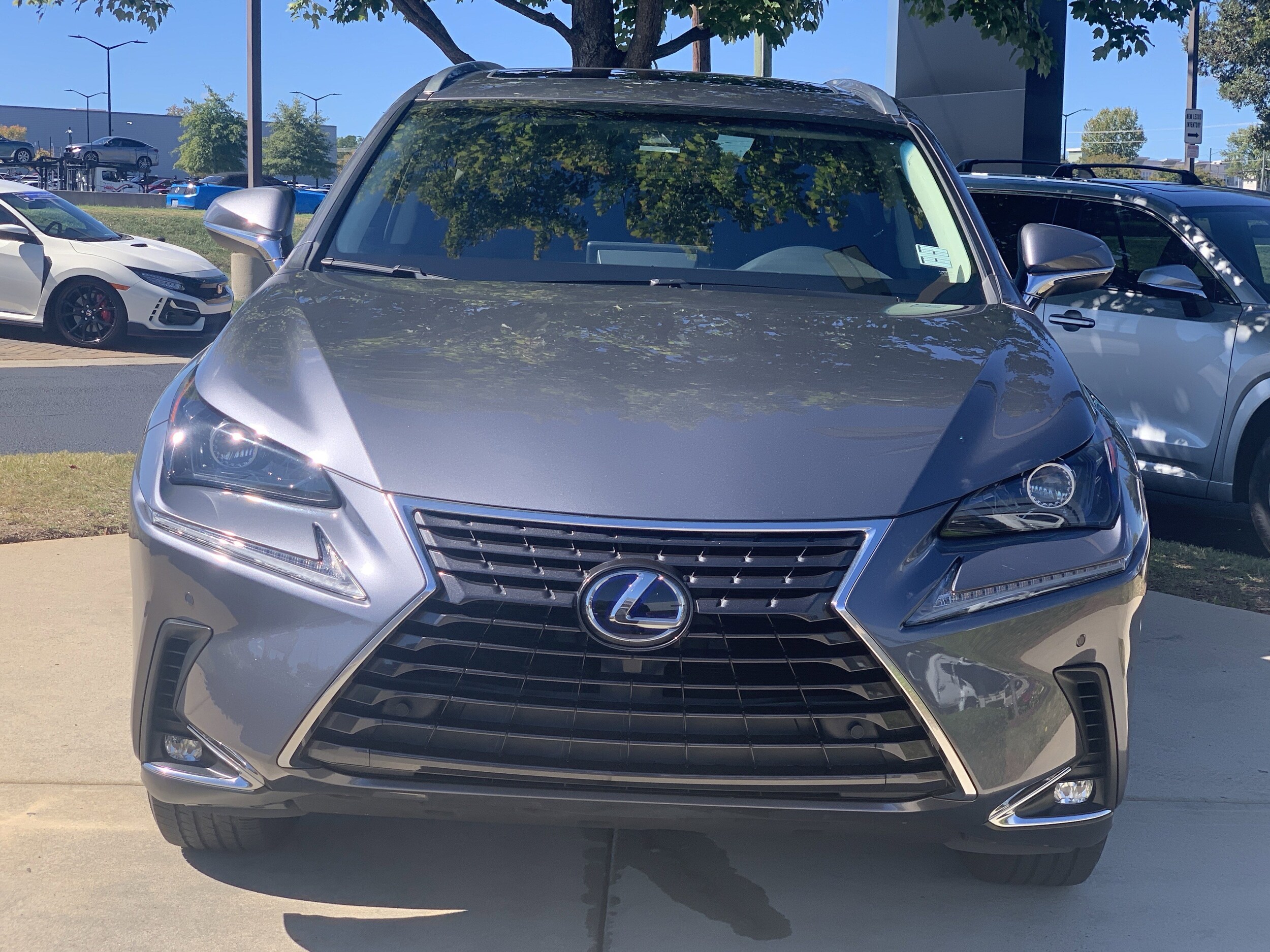 2019 Lexus NX 300h Luxury photo 3
