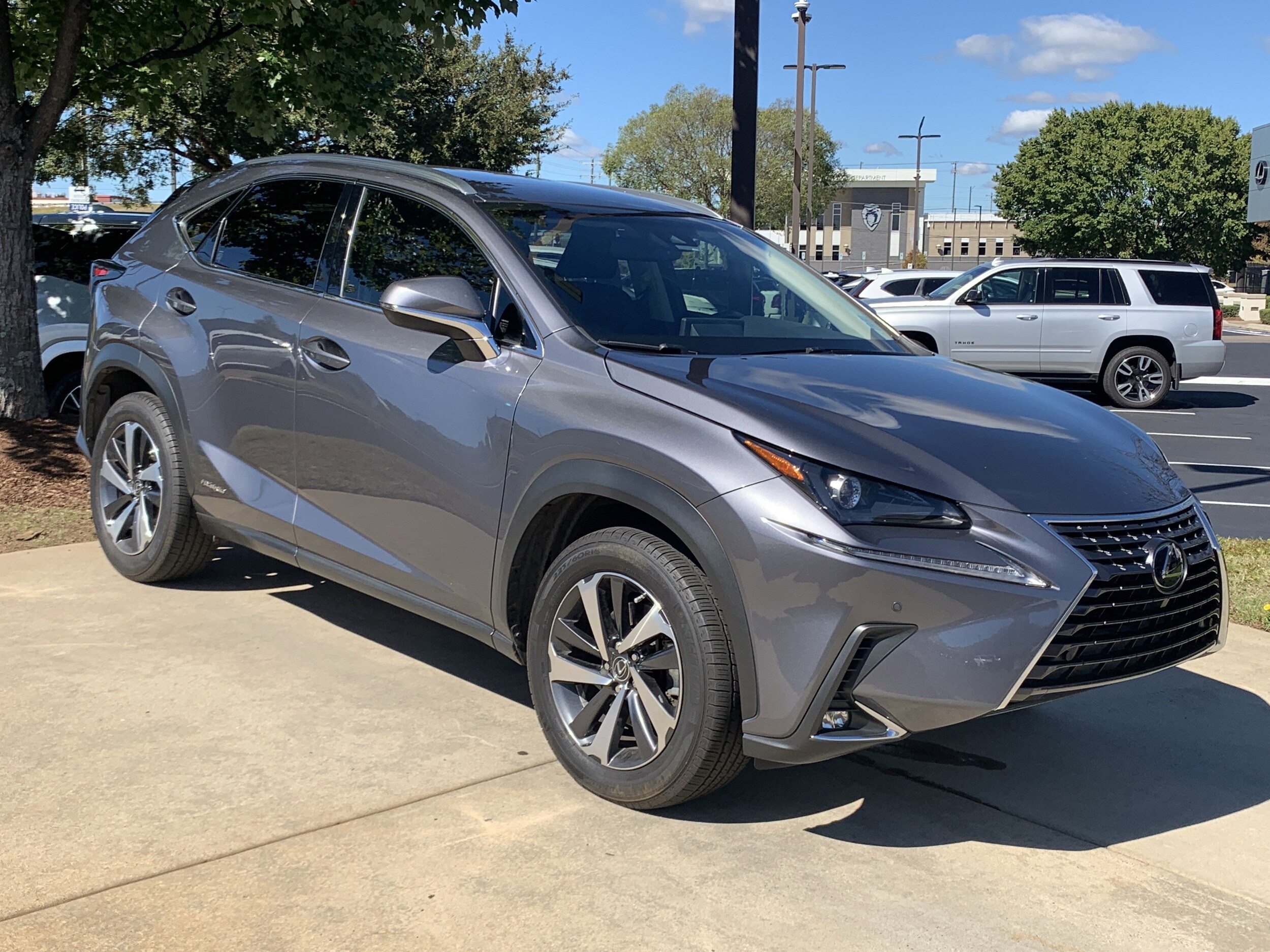 2019 Lexus NX 300h Luxury photo 2