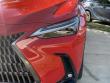 2022 LEXUS NX 350 350 Luxury SUV