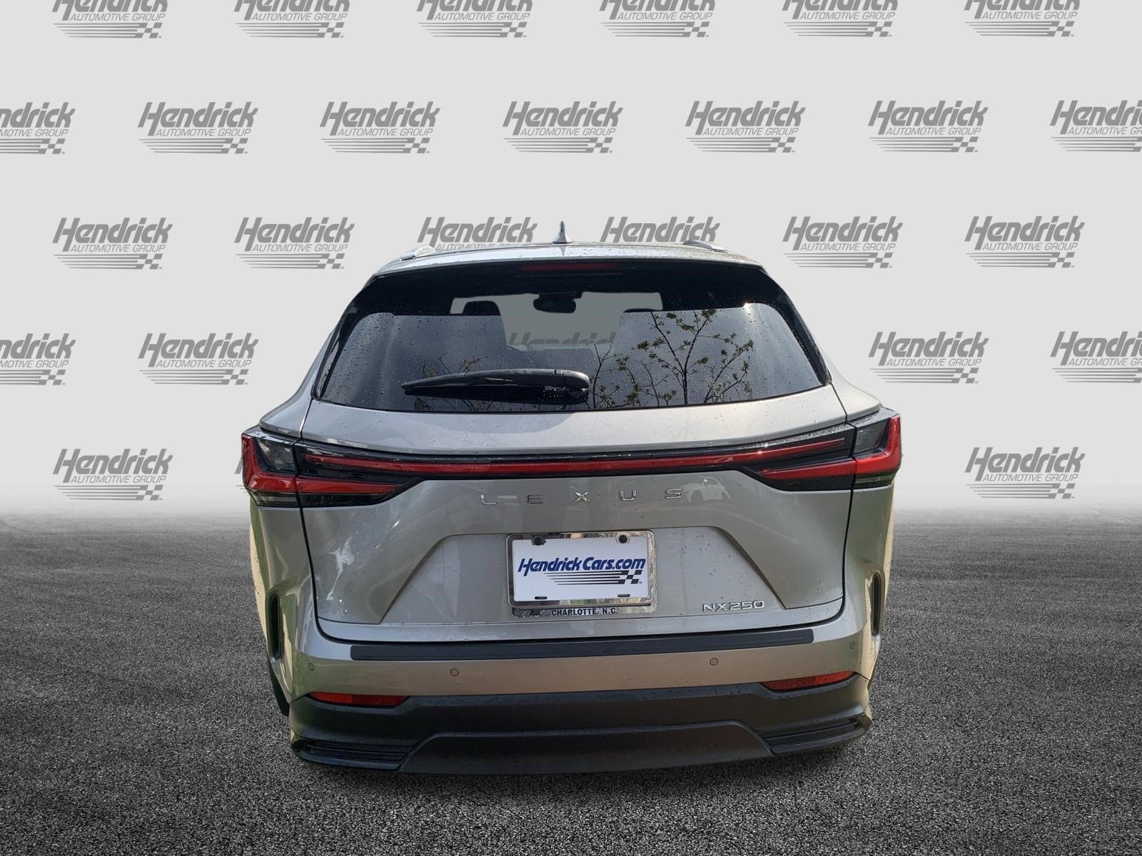 2024 LEXUS NX 250 Premium photo 6