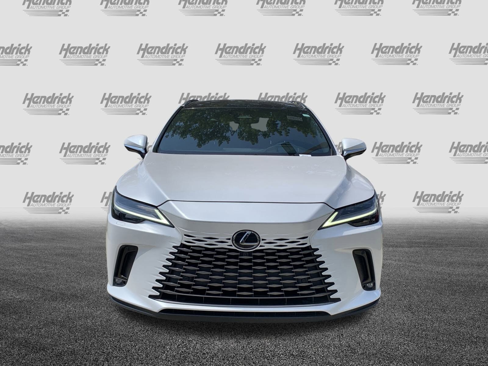2023 Lexus RX 350h Luxury photo 2