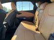 2024 LEXUS RX 350 Premium Plus SUV