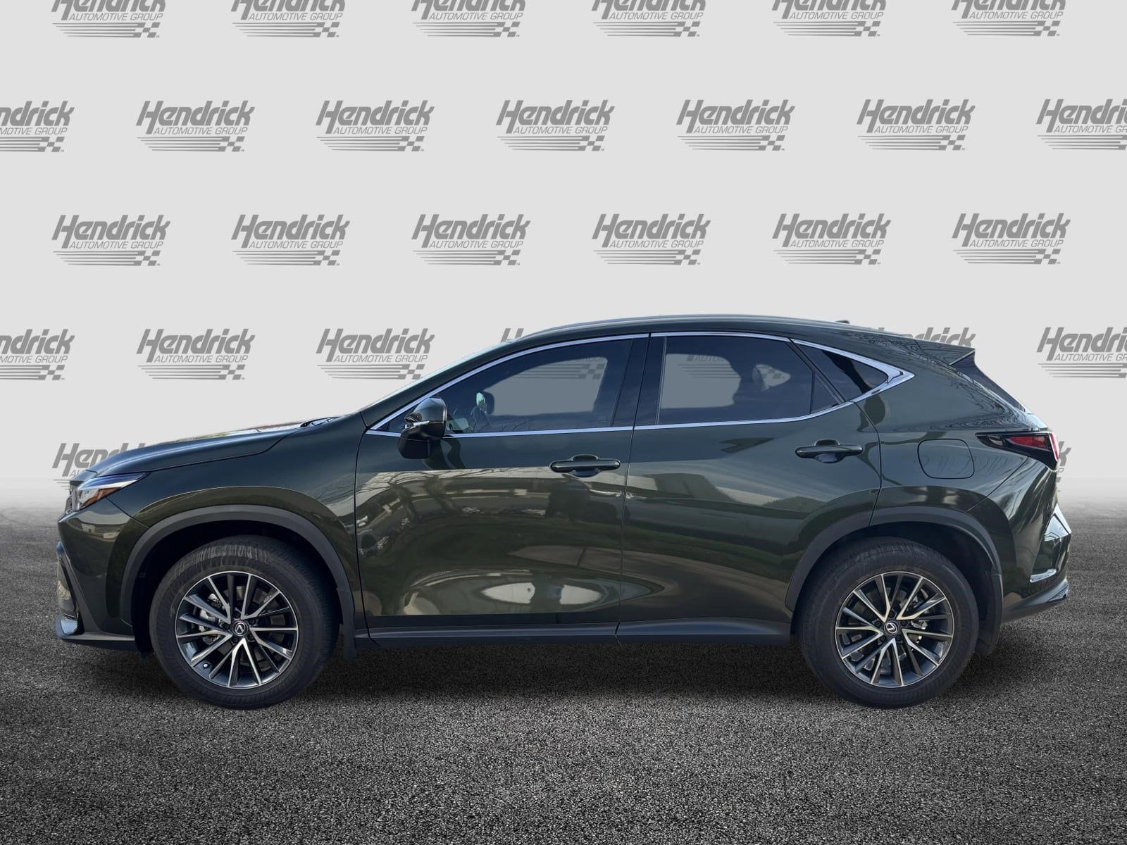 2024 LEXUS NX 250 Premium photo 4