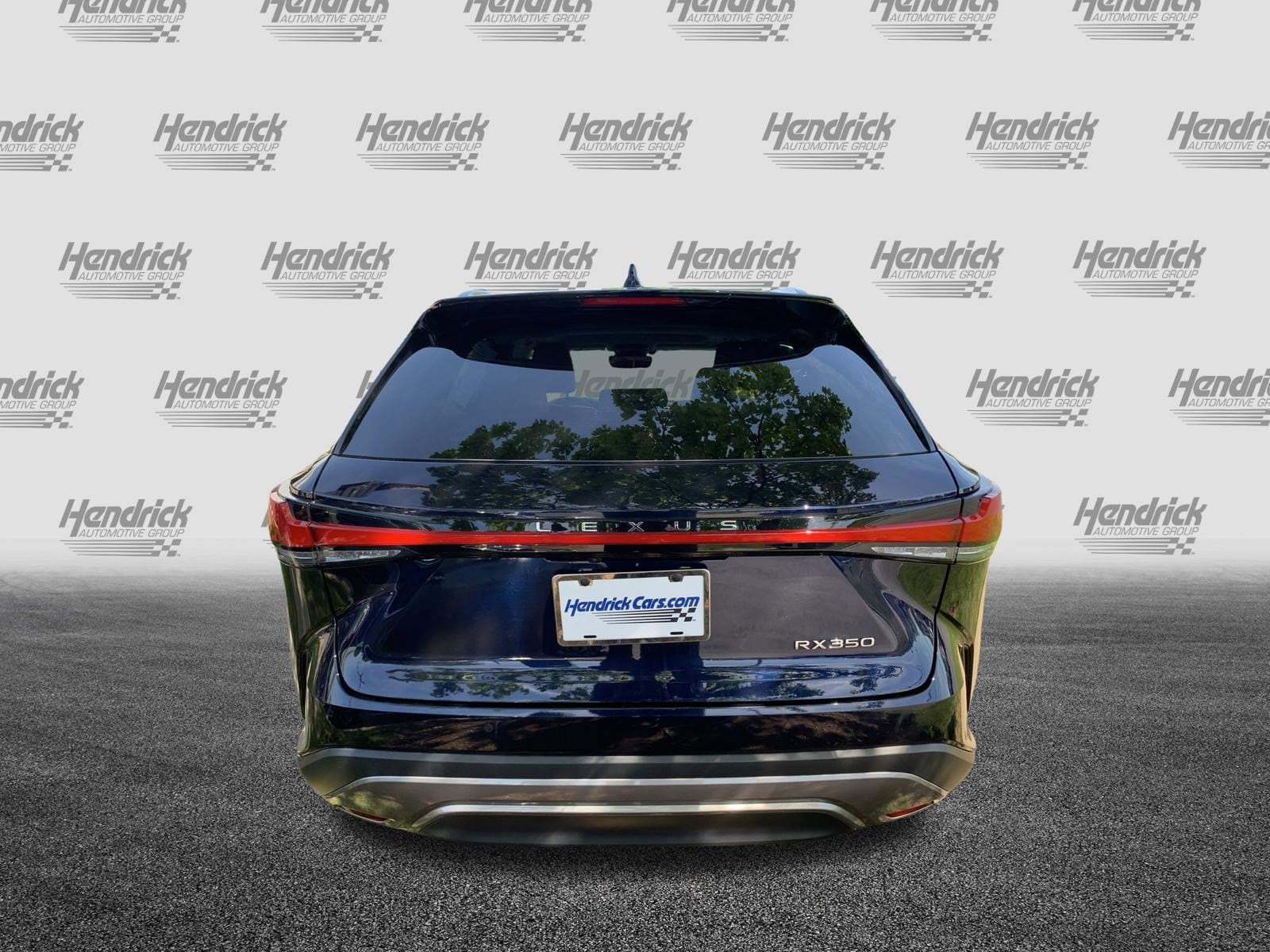 2023 LEXUS RX 350 Premium photo 6