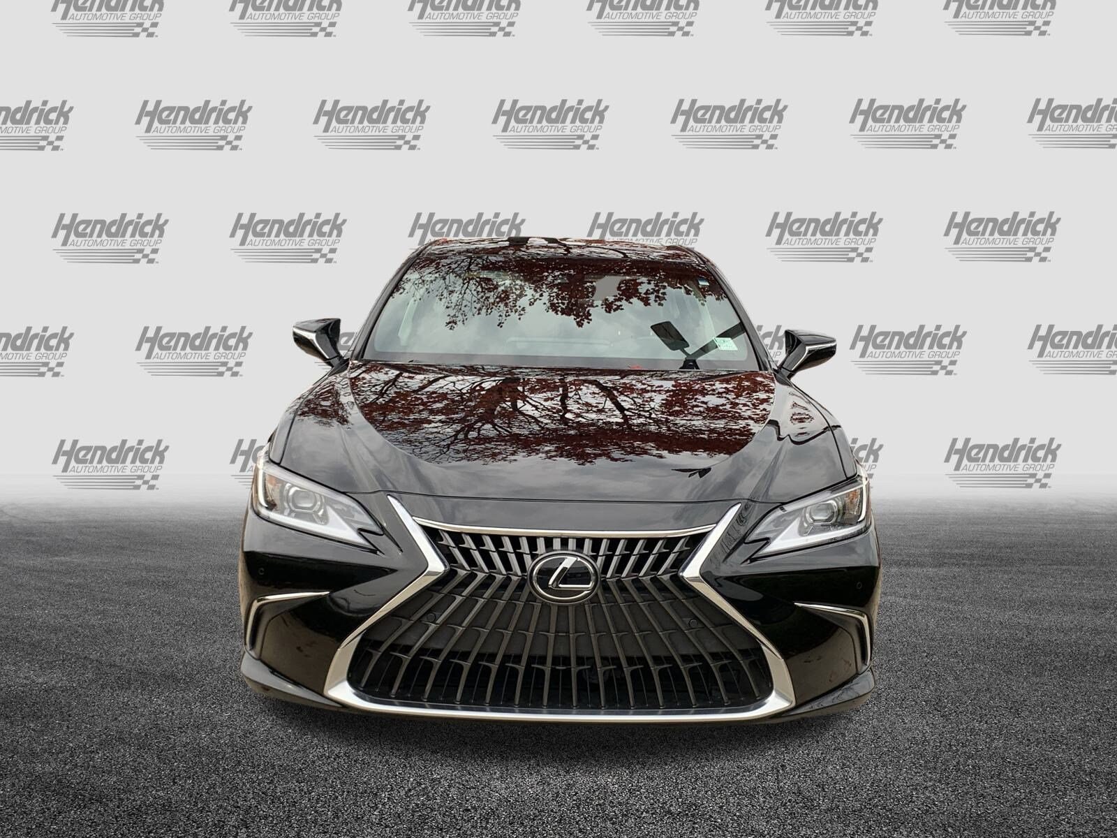 2024 Lexus ES 300h Premium photo 2
