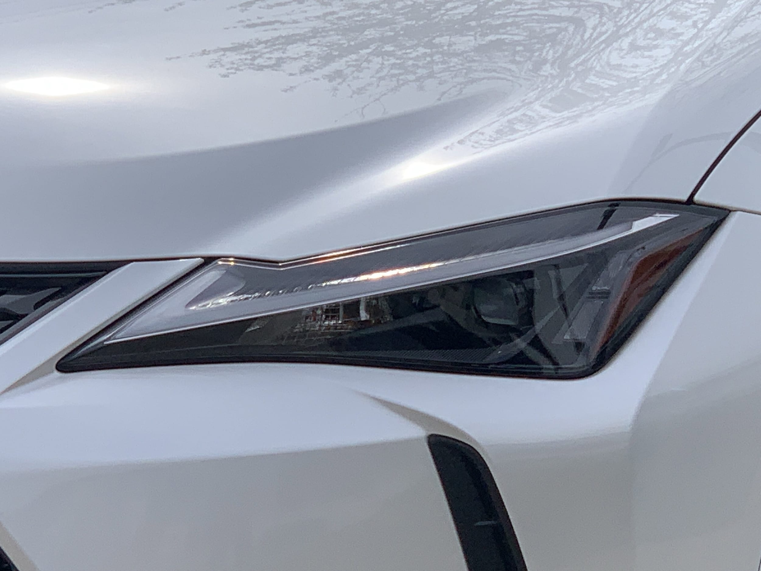 2025 LEXUS UX 300h 300h Premium photo 4