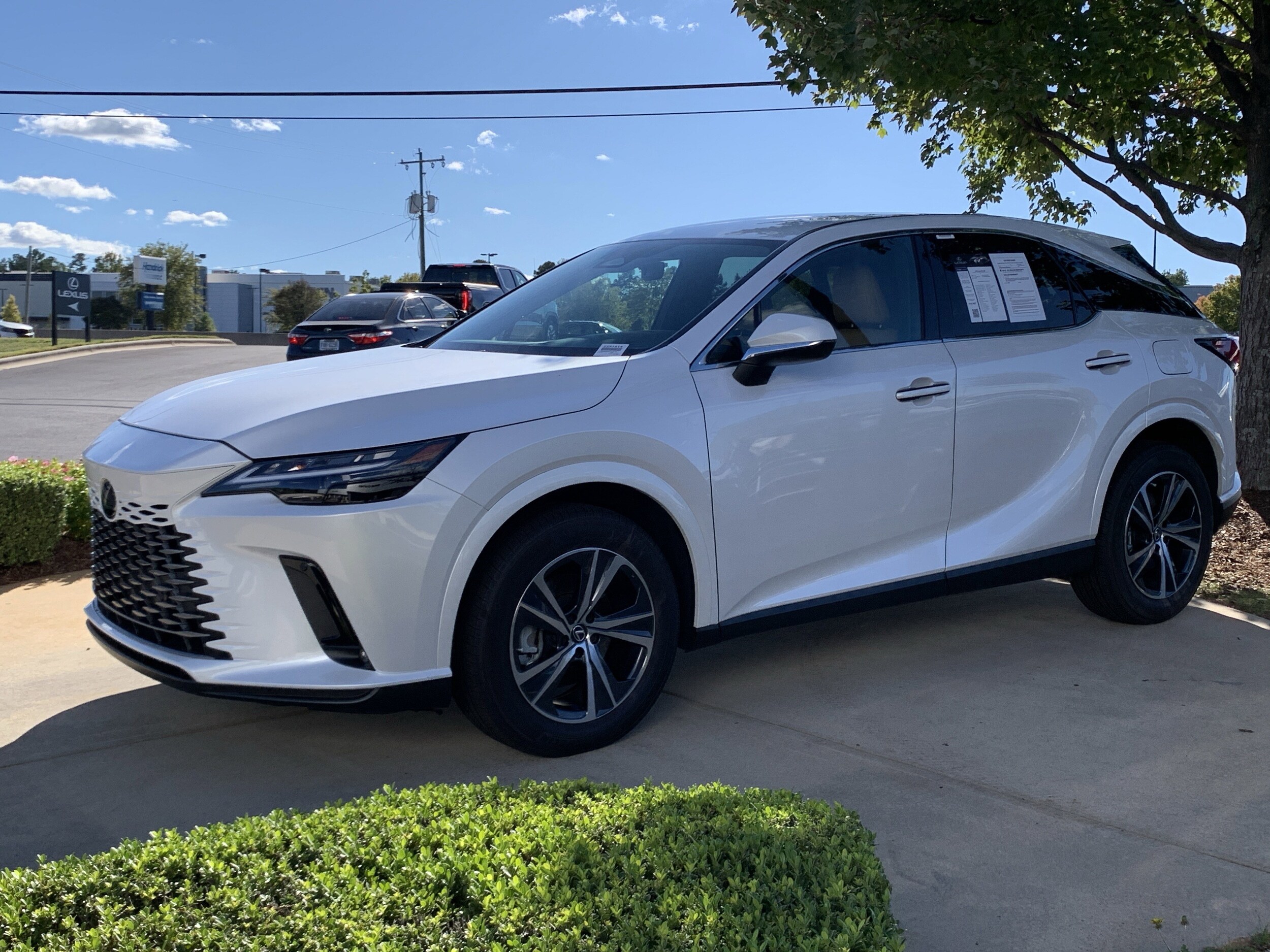 2025 Lexus RX 350 photo 2