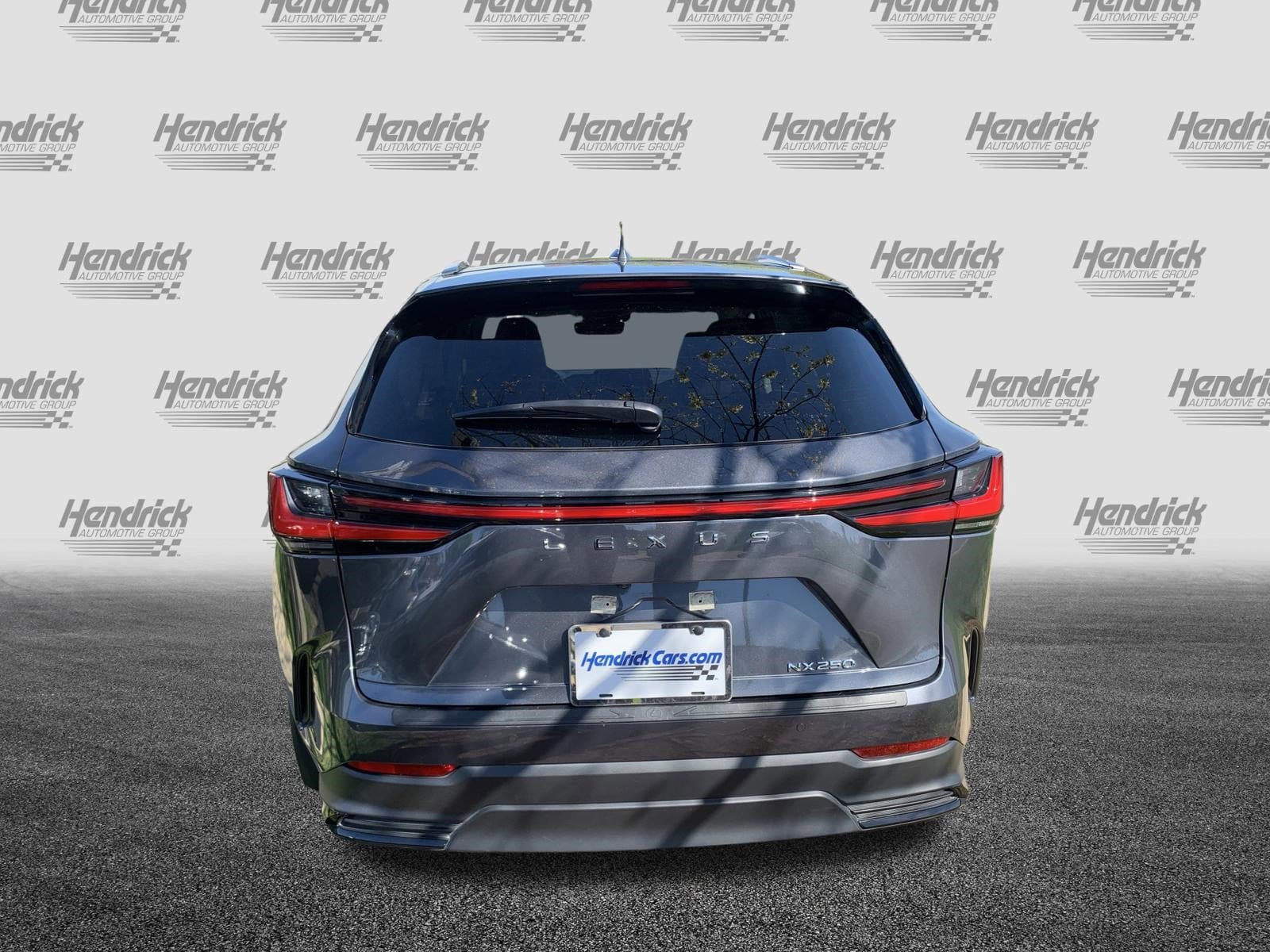 2024 LEXUS NX 250 250 Premium photo 3