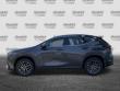 2025 LEXUS NX 250 Premium SUV
