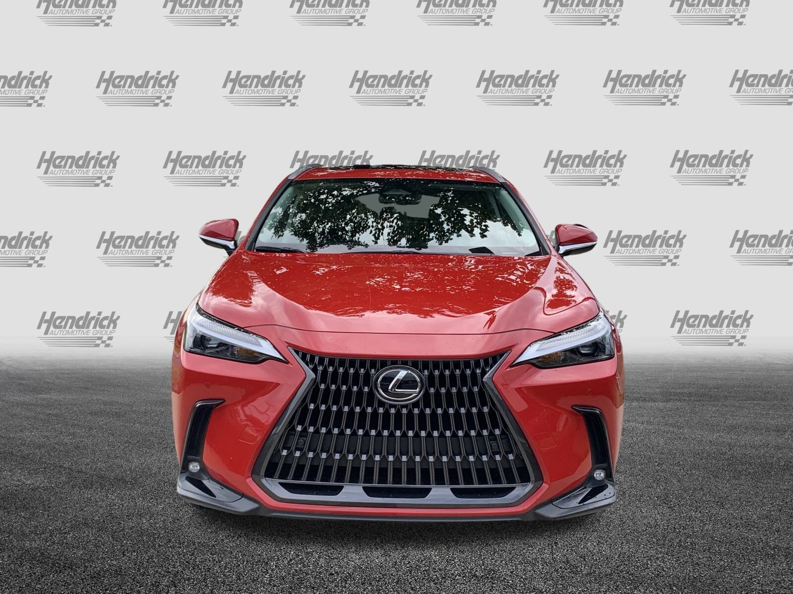 2025 Lexus NX 250 Premium photo 3