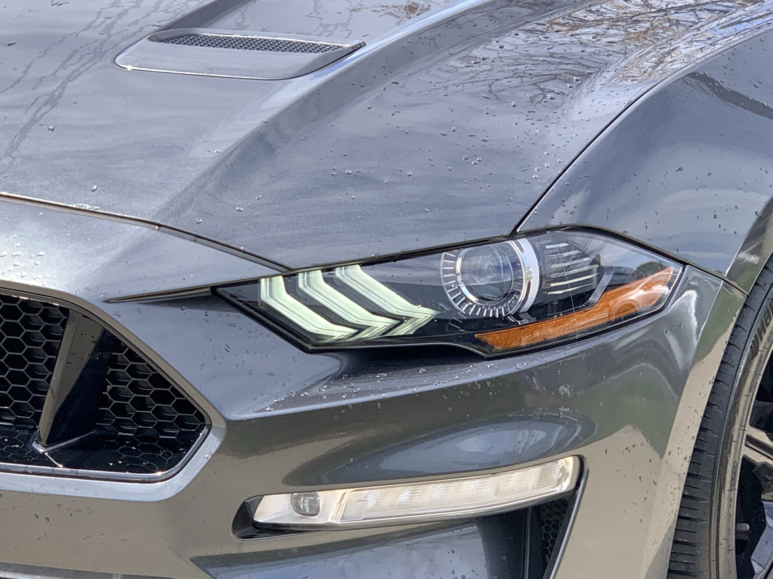 2020 Ford Mustang GT Premium photo 4