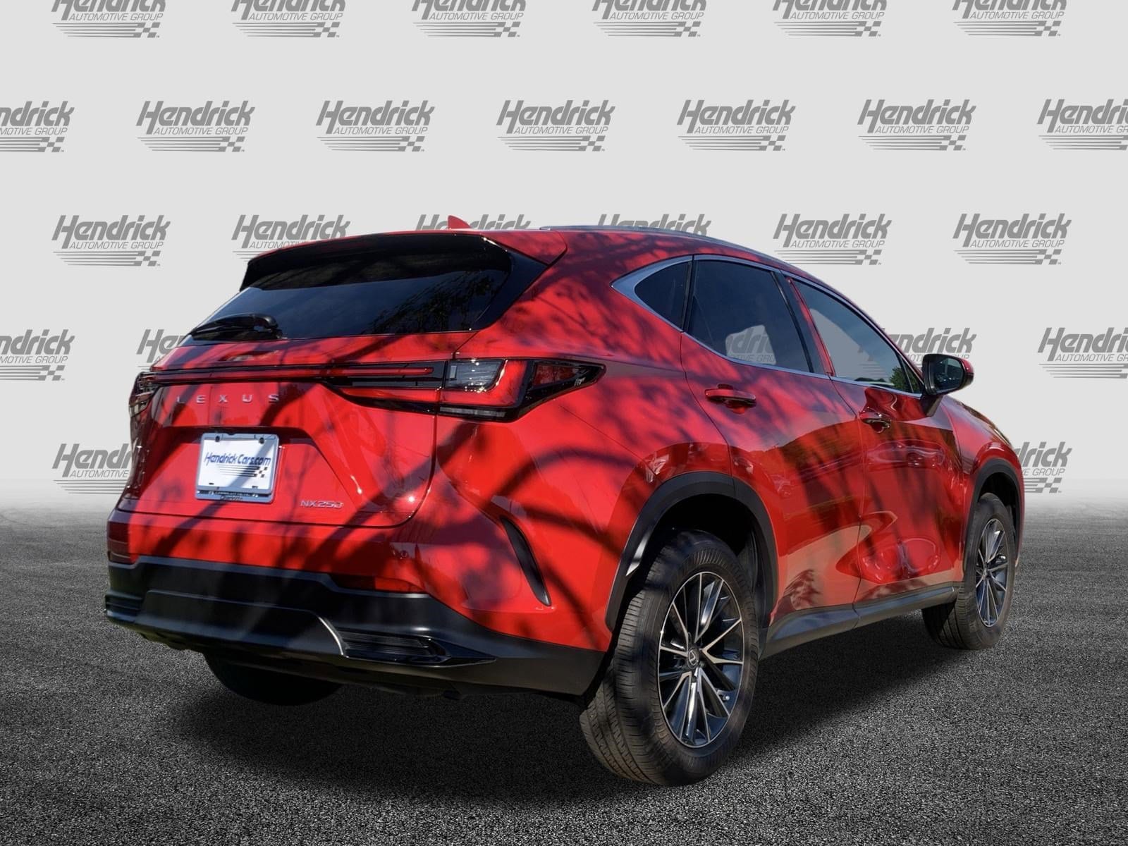 2025 LEXUS NX 250 Premium photo 3