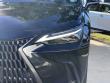 2024 LEXUS NX 350 350 Luxury SUV