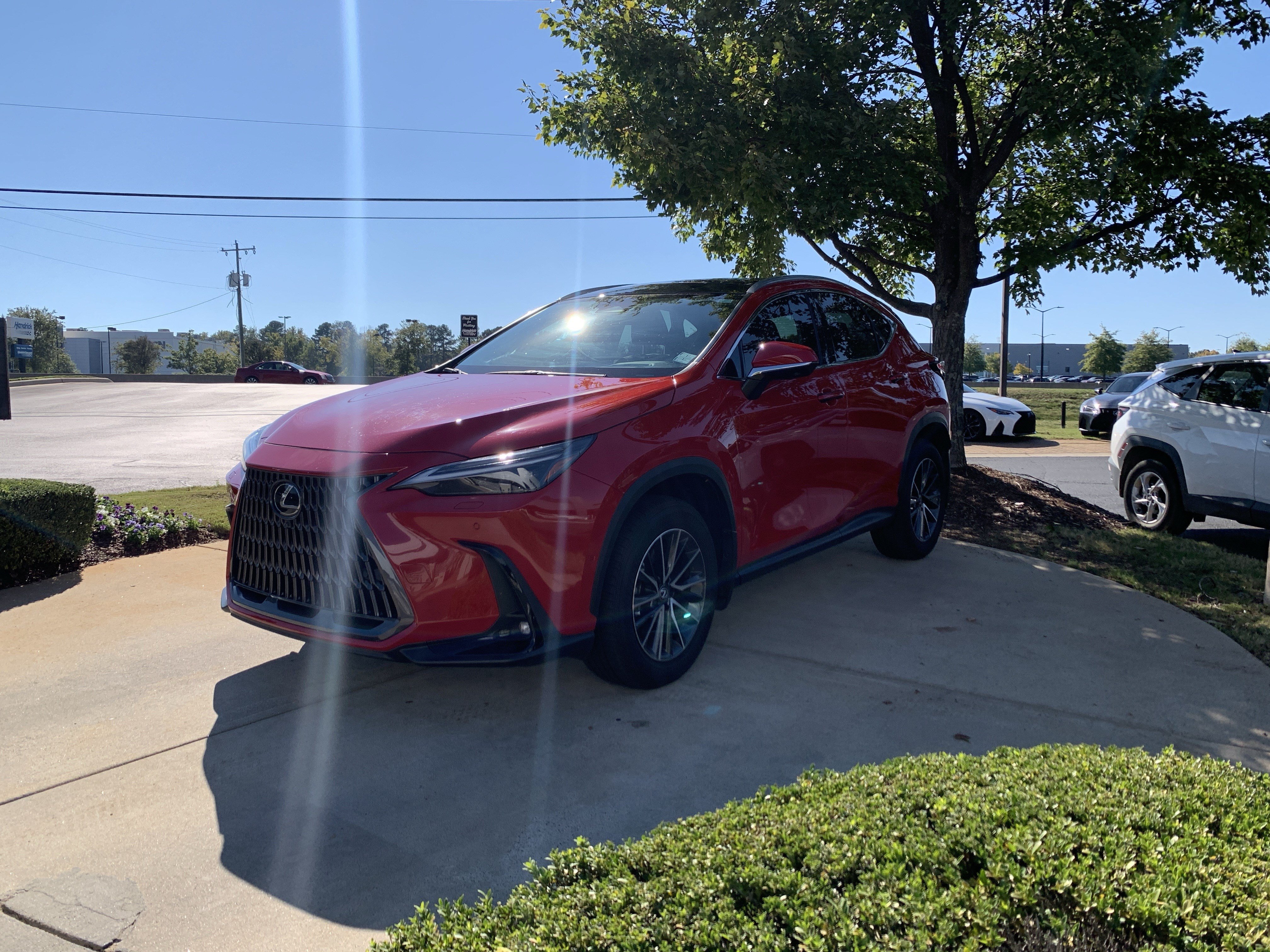 Used 2025 Lexus NX 350h Luxury SUV