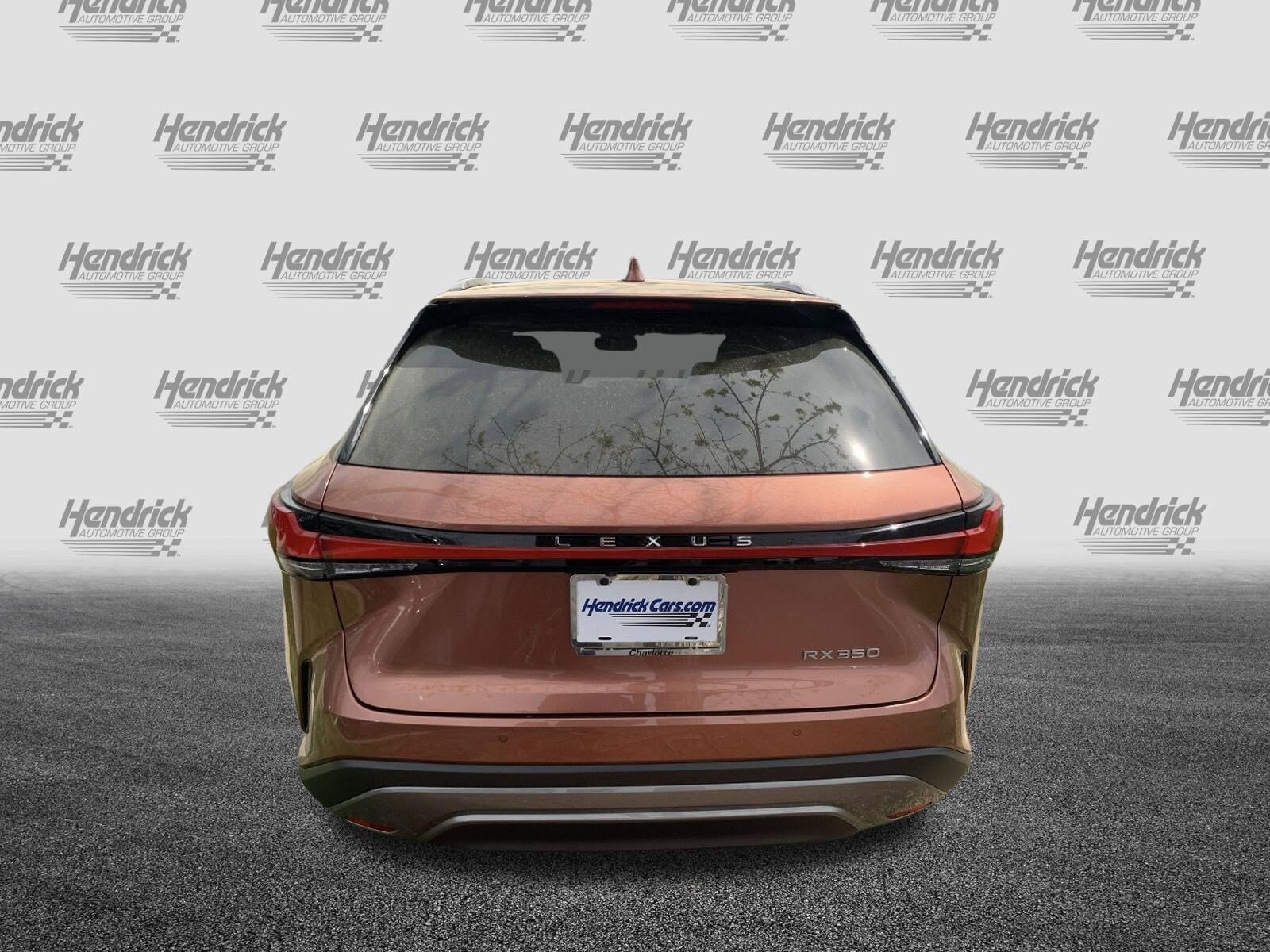 2025 LEXUS RX 350 350 Premium photo 3
