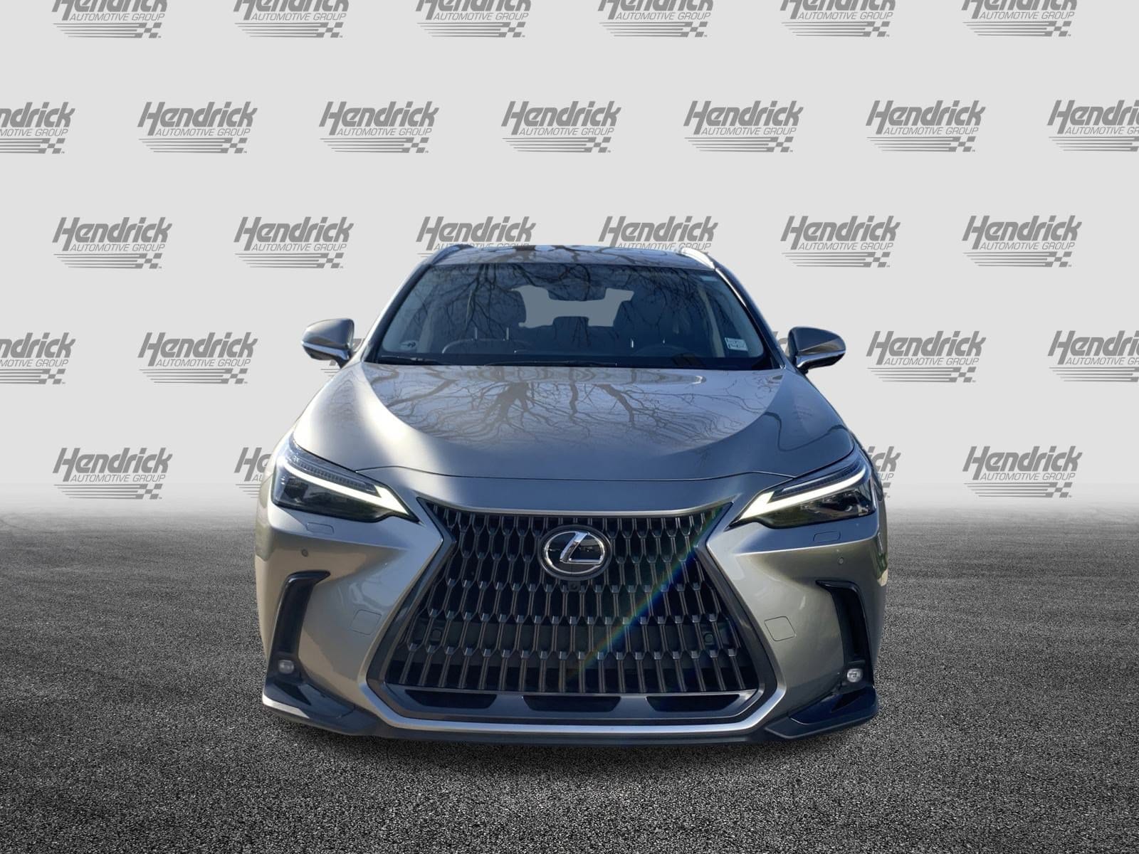 2025 LEXUS NX 450h Plus 450h+ Luxury photo 2