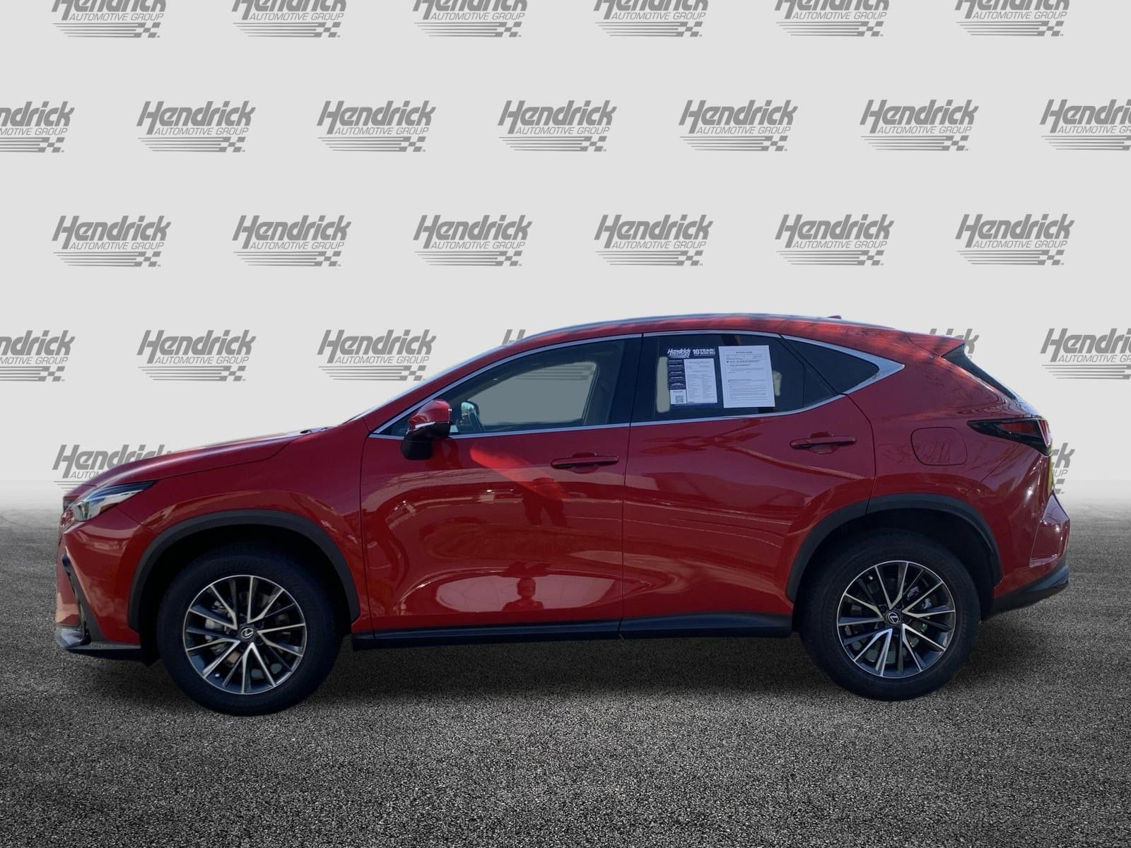 2025 LEXUS NX 250 Premium photo 4