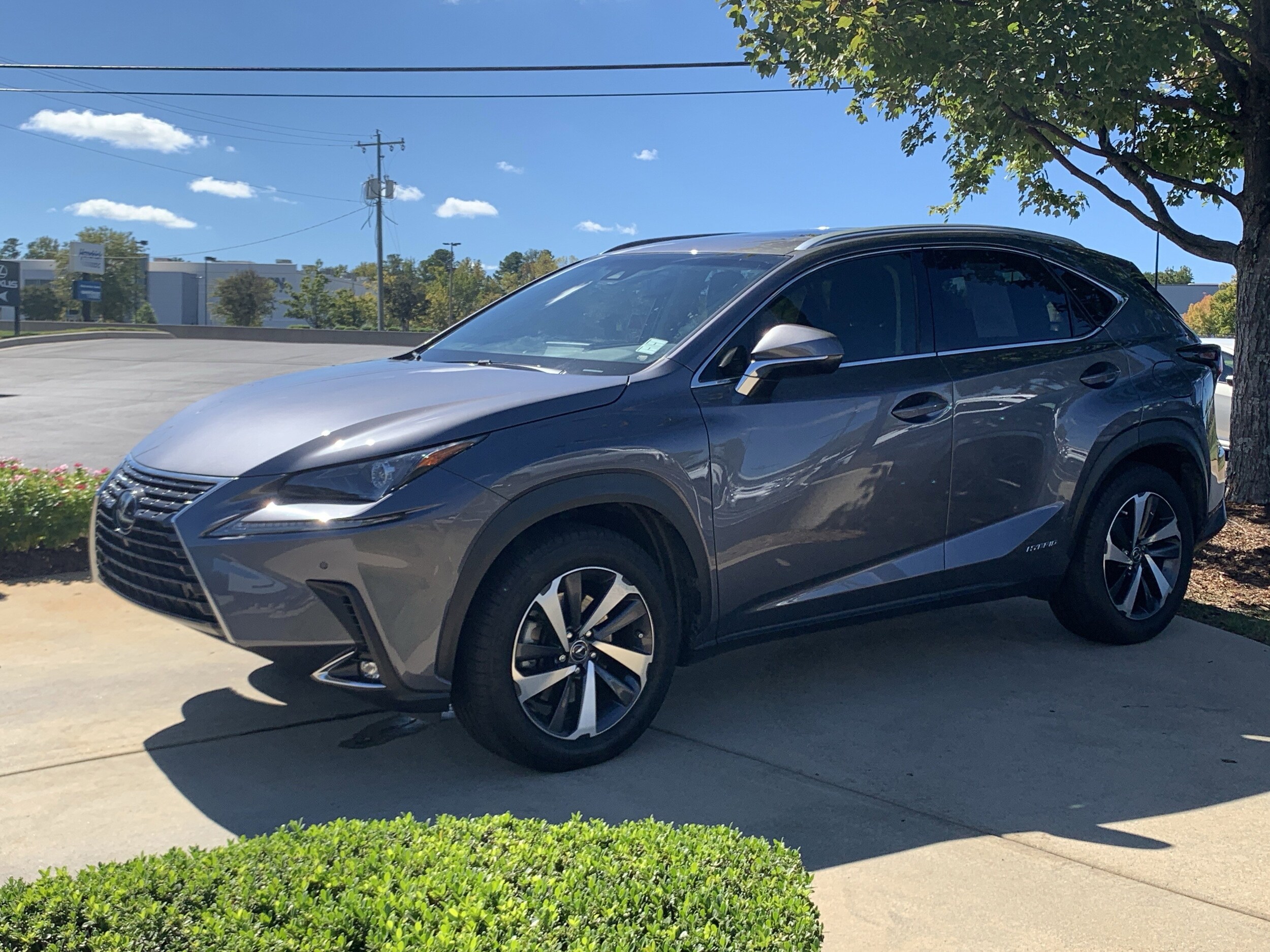 2019 Lexus NX 300h Luxury photo 4