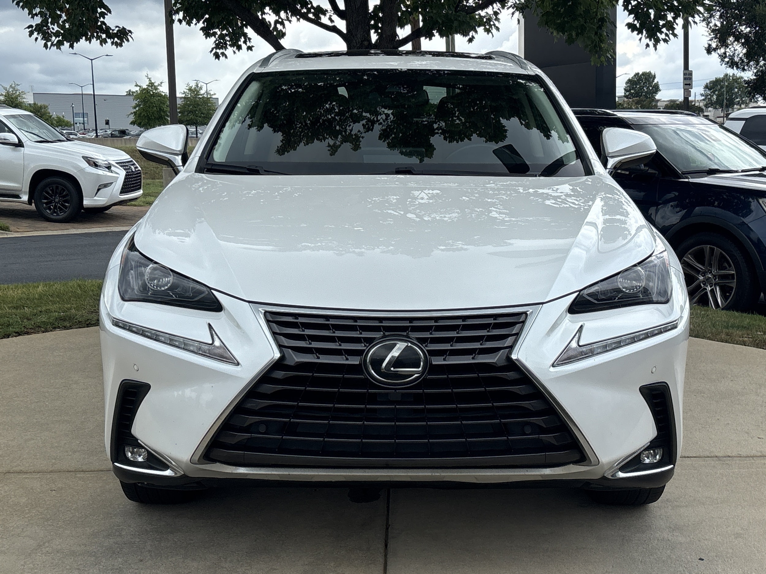 LEXUS NX 300