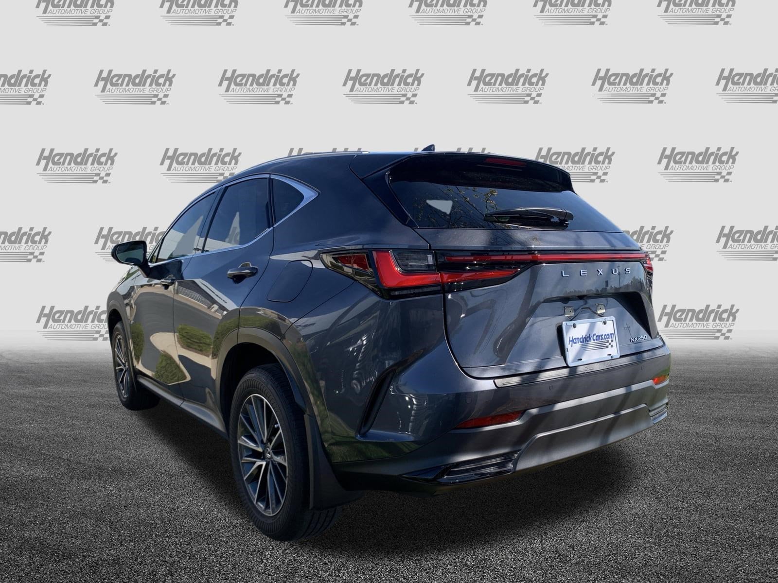 2024 LEXUS NX 250 250 Premium photo 6