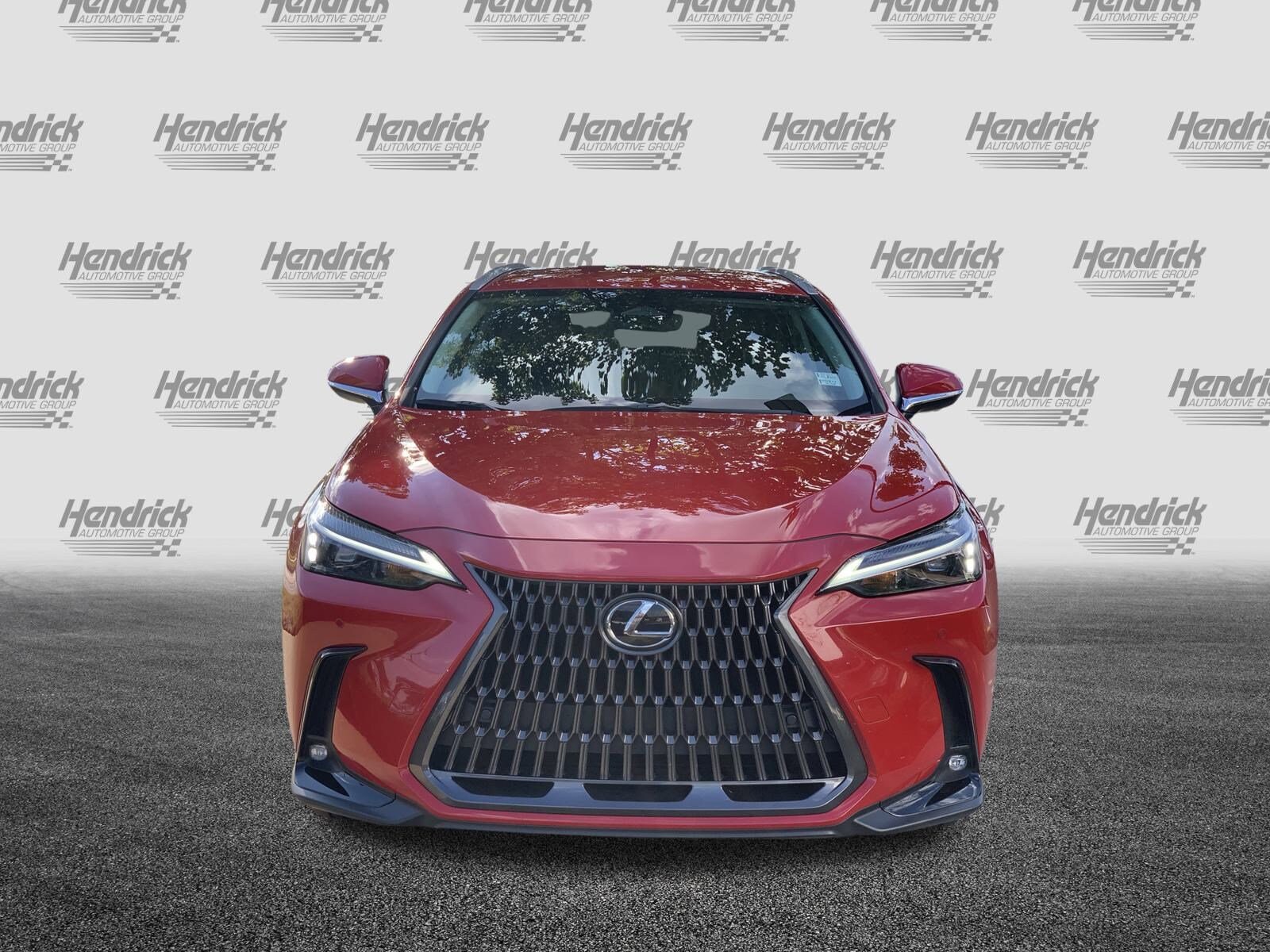 2025 Lexus NX 250 photo 3