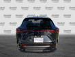 2024 LEXUS NX 350 350 Luxury SUV