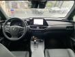 2026 LEXUS UX 300h F SPORT Design SUV