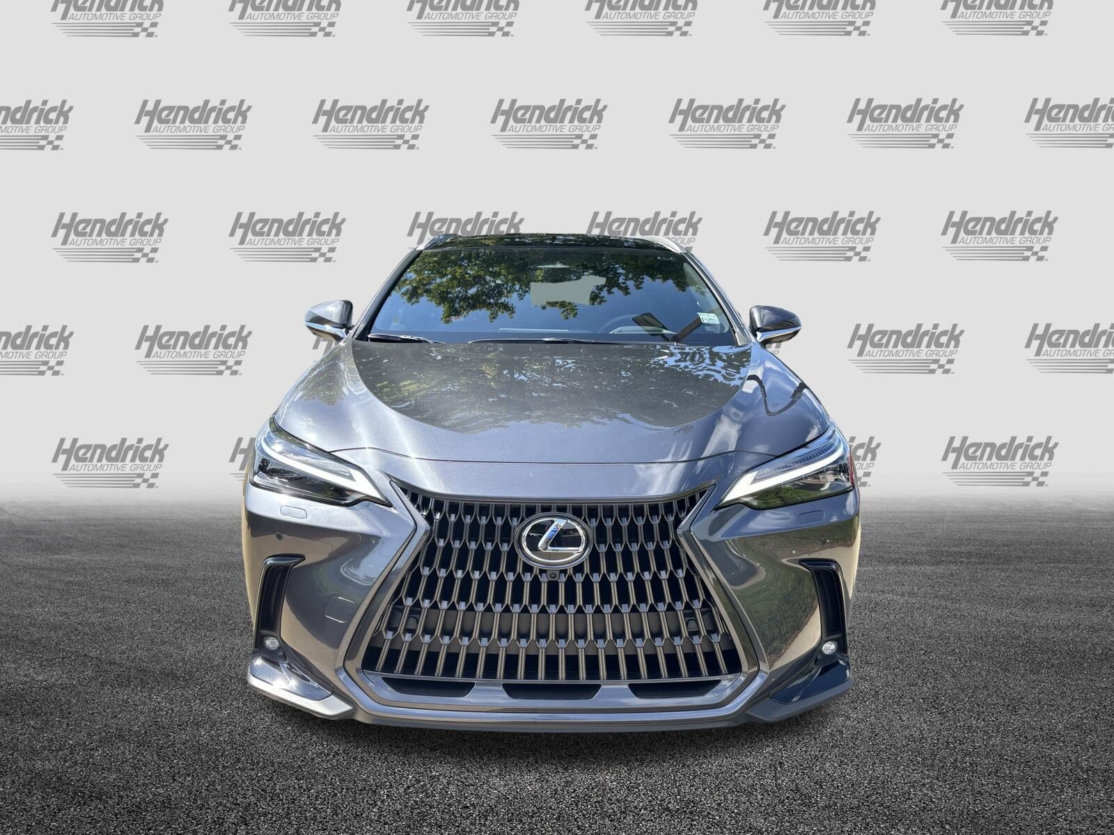 2025 Lexus NX 350h Luxury photo 3
