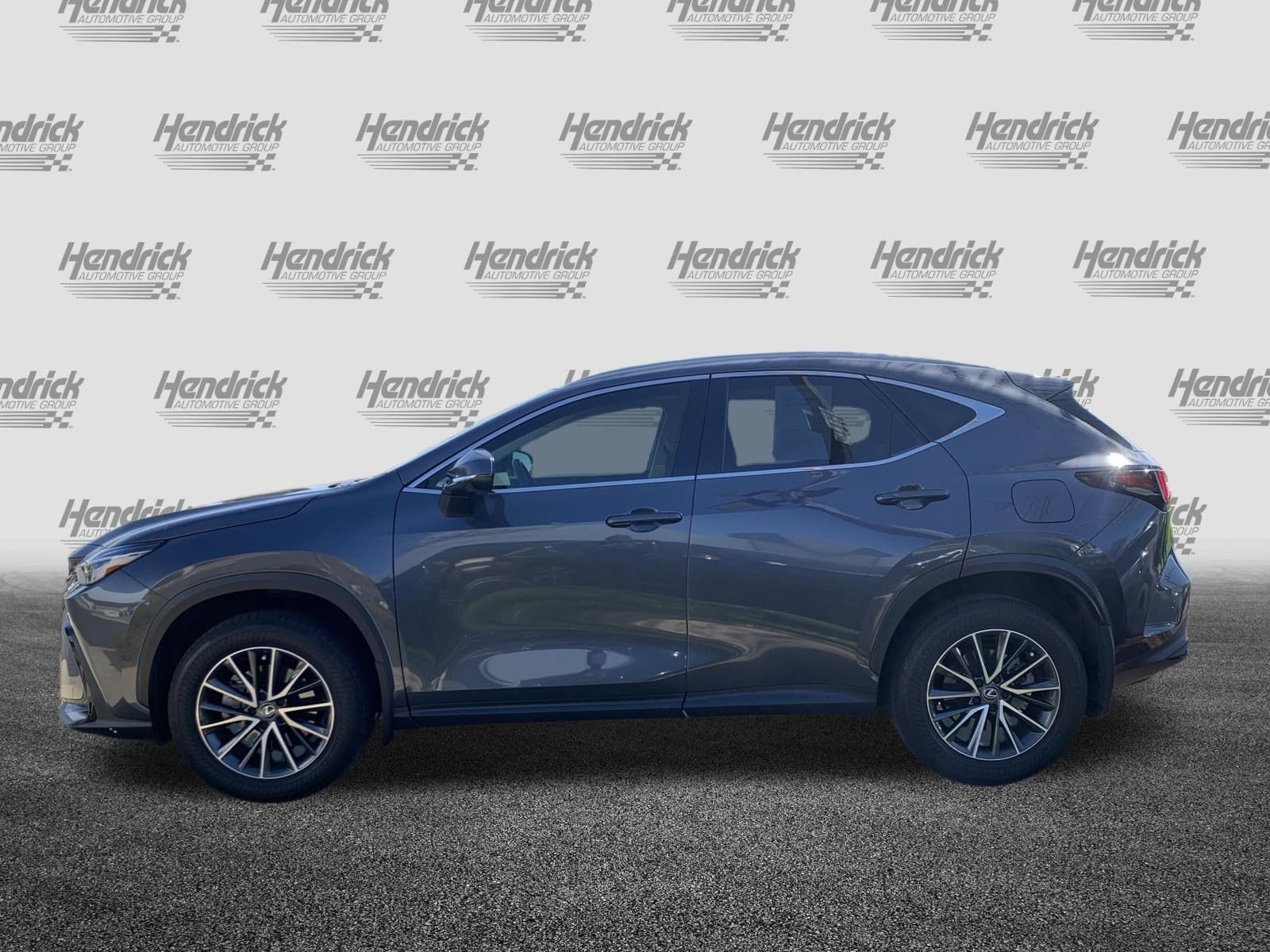 2024 LEXUS NX 250 250 Premium photo 5
