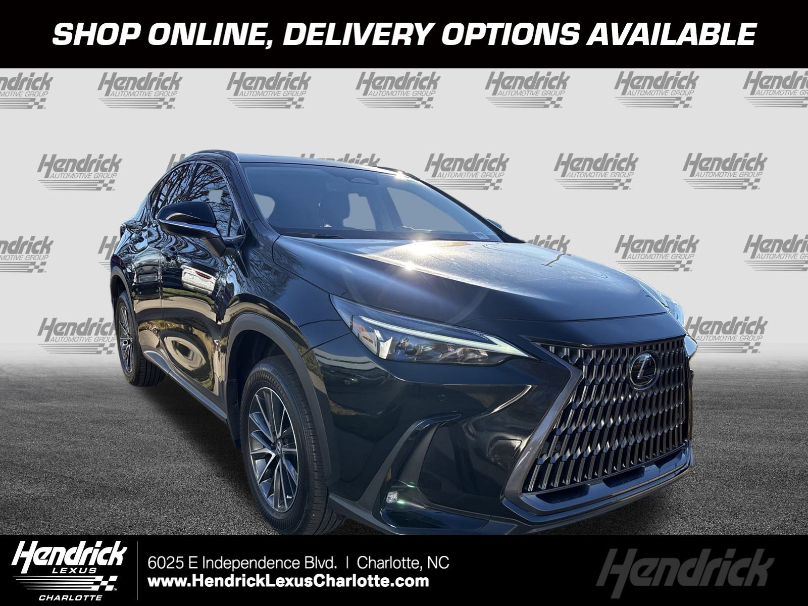 2025 Lexus NX 250's photo