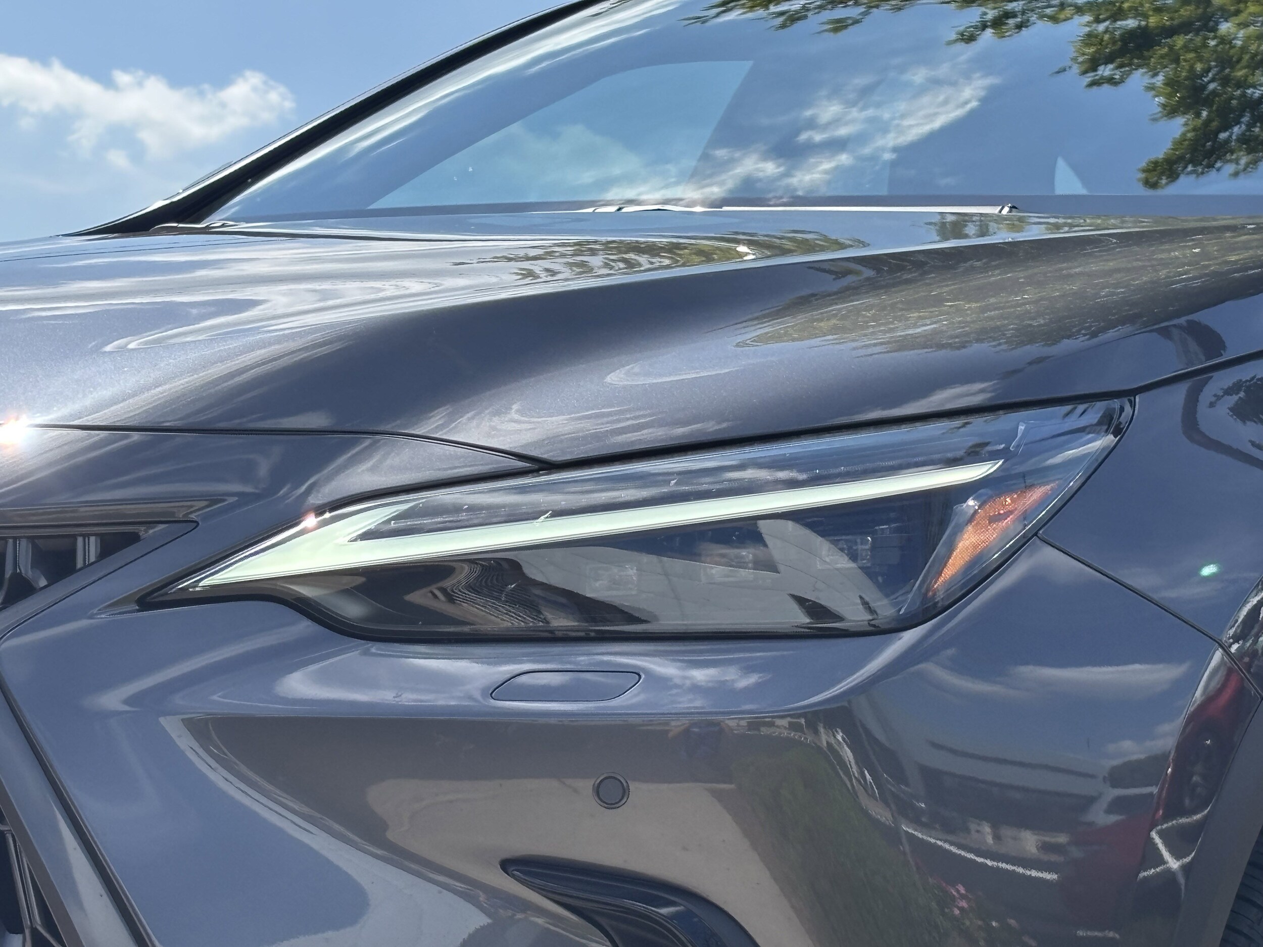 2025 Lexus NX 350h Luxury photo 4