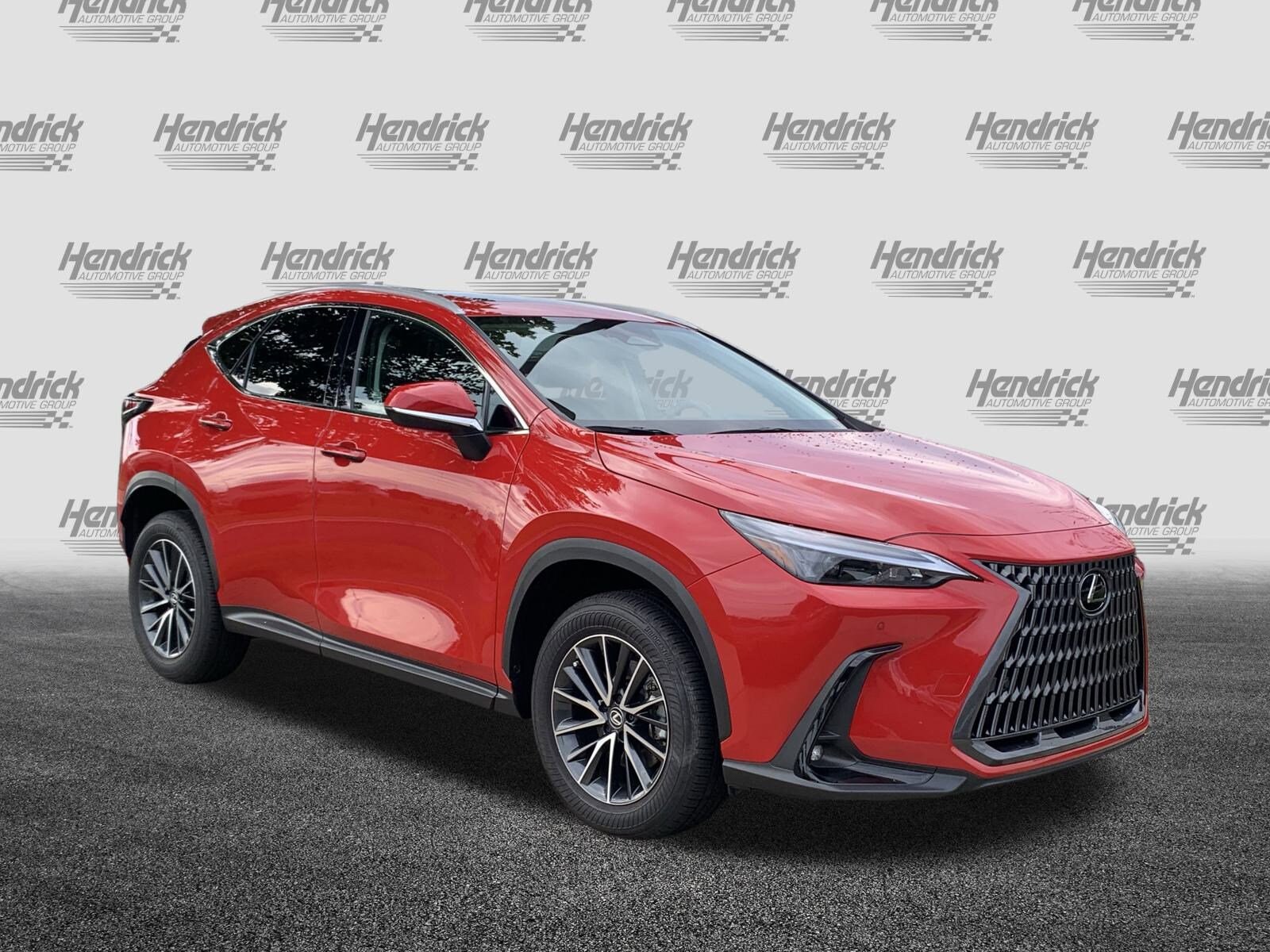 2025 Lexus NX 250 Premium photo 2