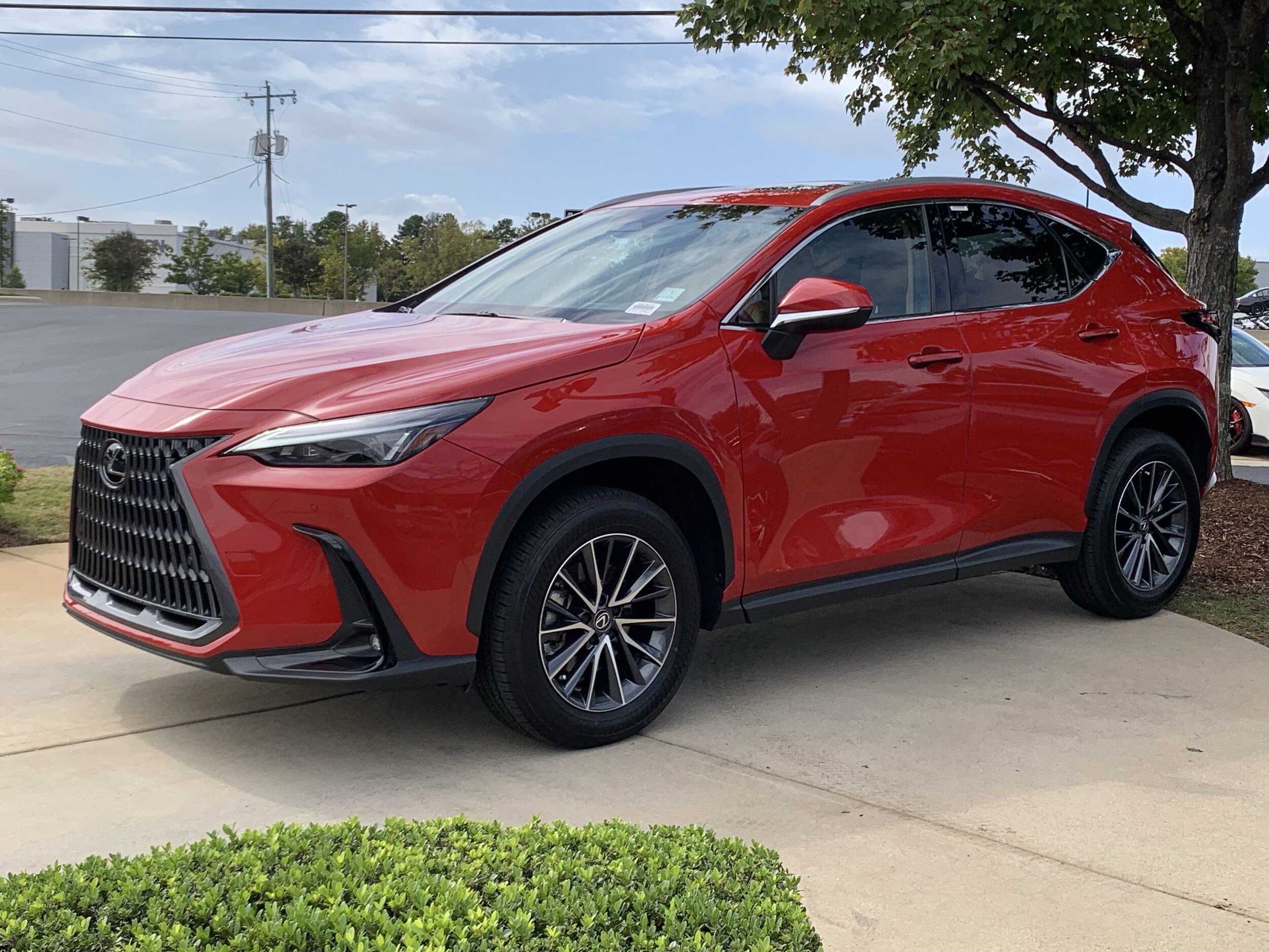 2025 Lexus NX 250 Premium photo 4